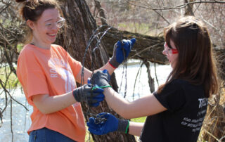 Fencing volunteers