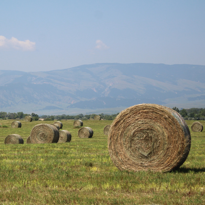 working-land-800