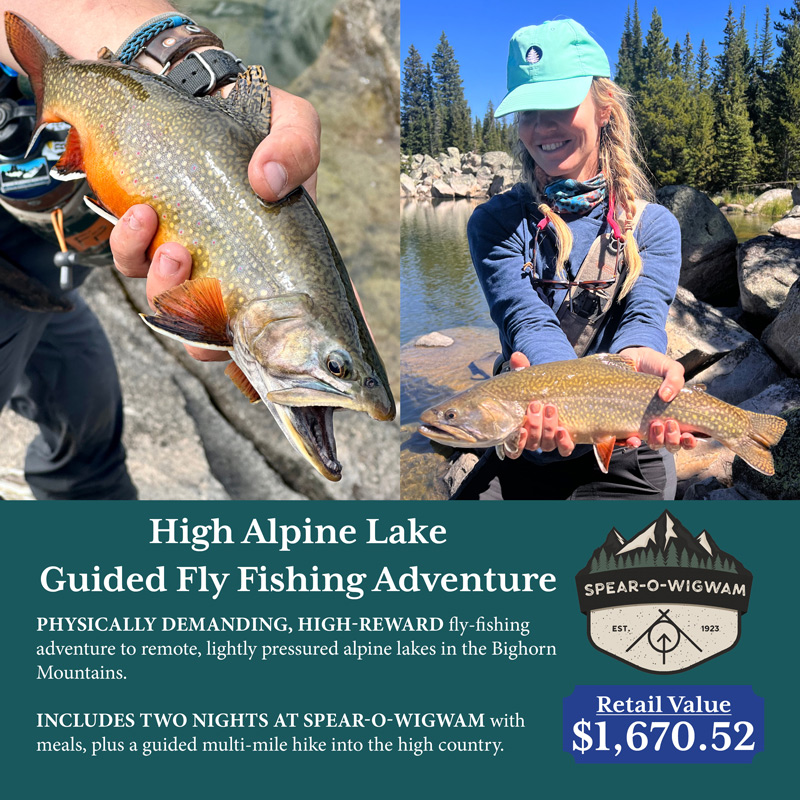 raffle-ad-graphics-800x800-web